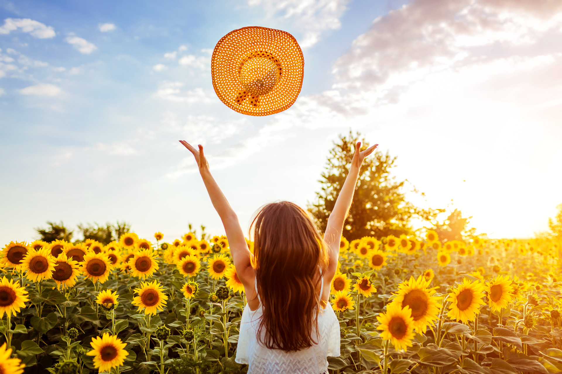 young-woman-walking-blooming-sunflower-field-throwing-hat-up-having-fun-summer-vacation